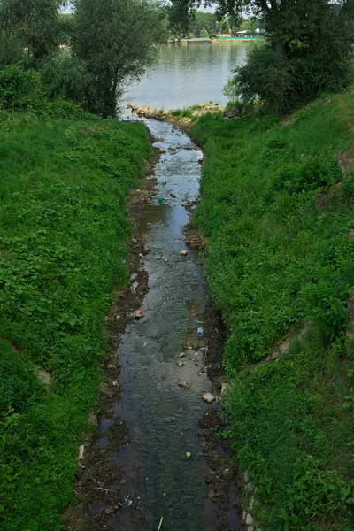 Pequena corrente de água fluindo para o grande rio Danúbio — Fotografia de Stock