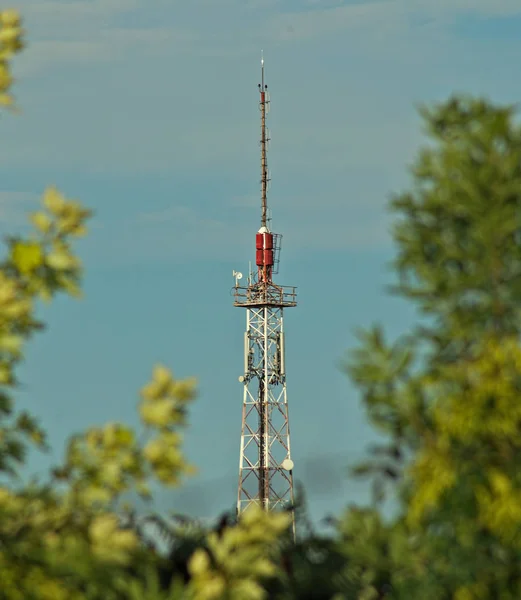 Alta torre de radio entre ramas de árboles — Foto de Stock