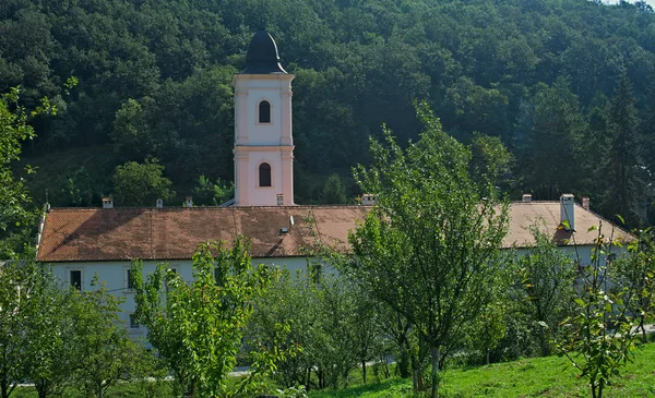 Uitzicht vanaf heuvel op christelijk orthodox klooster in Beocin, Servië — Stockfoto
