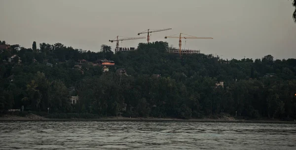 Tiga bangau di sisi lain sungai Danube — Stok Foto
