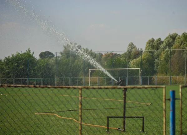 Sprinkler besproeiing gras op voetbalveld — Stockfoto