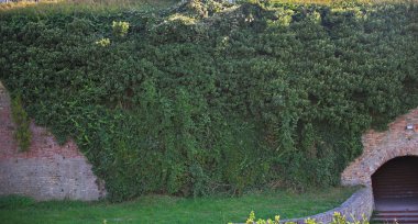 Kocaman bir tırmanma tesisi büyük kale duvarını tamamen kaplıyor.