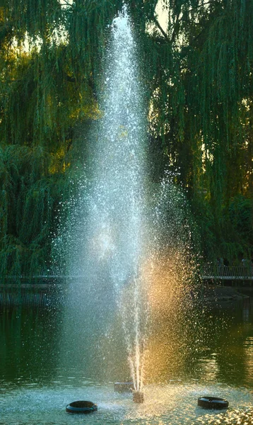 Wasserstrahl aus Brunnen im See mit Baum im Hintergrund — Stockfoto