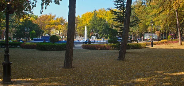 SUBOTICA, SERBIA - 13 października 2018 - Widok z parku na fontannę przy głównym placu — Zdjęcie stockowe