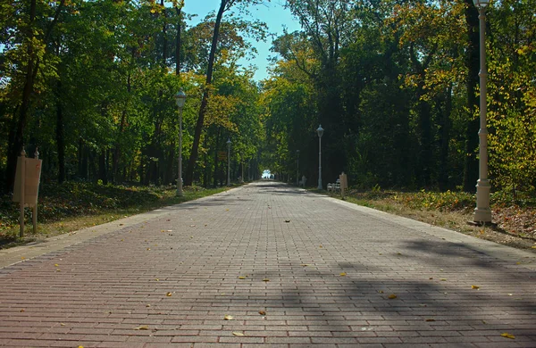 Ścieżka ceglana w parku Palic, Serbia — Zdjęcie stockowe
