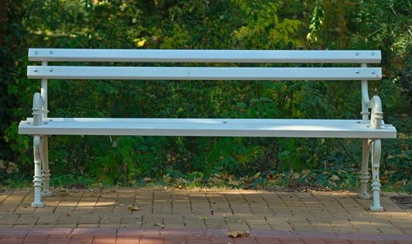 Вид спереди на белую скамейку на красных брикетах с природой за ней — стоковое фото