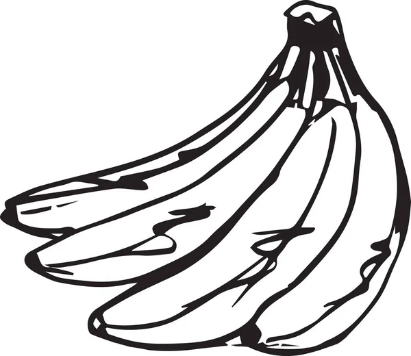 Sketch Delicious Banana Vector Illustration — Stock Vector