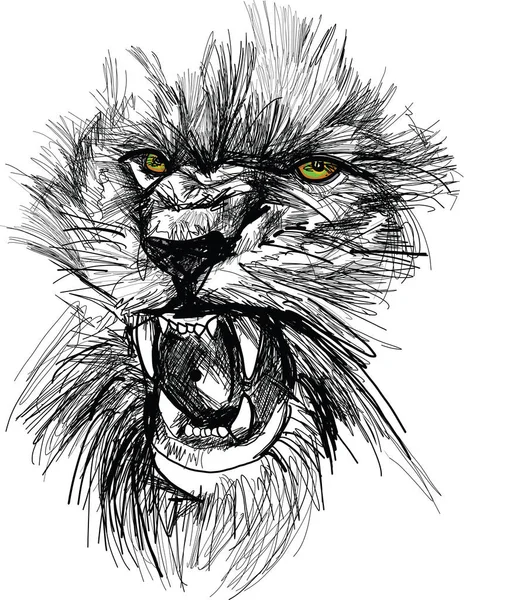 Croquis Illustration Vectorielle Tête Lion — Image vectorielle