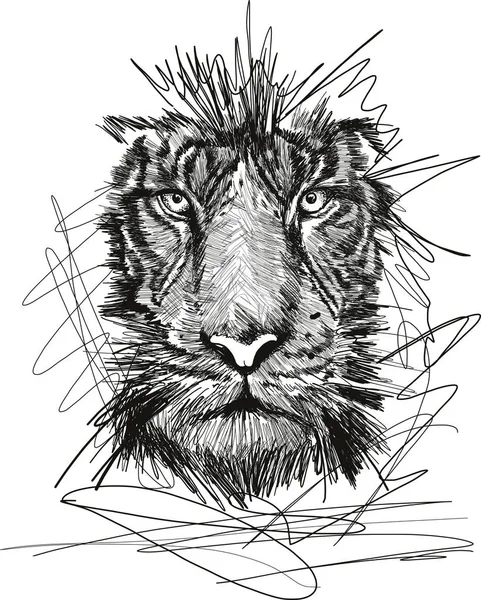 Sketch Tiger Face Vector Illustration — Stock Vector