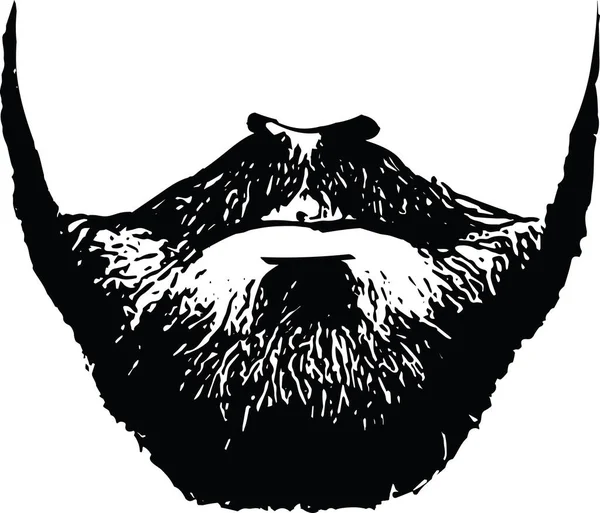 Bearded Man Faces Hipster Haircuts Men Fashion Vector Barbershop Logo — Stock Vector