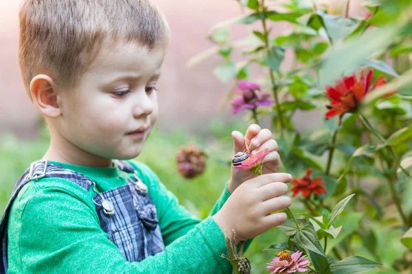 Happy Little Boy Playing Park Snail Day Time Kid Observing — Stock Photo, Image