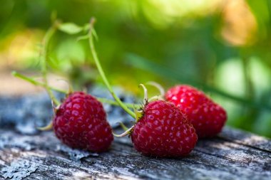 Olgun, taze topyekün ahududu, rustik ahşap eski yüzeyüzerinde aldı. Seçici odaklama