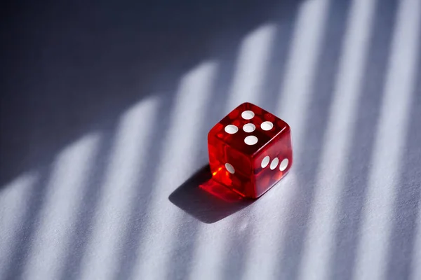 Red Transparent casino Dice. The concept of dice gambling in casinos