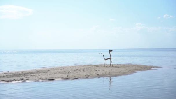 Een Houten Dier Stokken Een Zanderig Eiland Het Midden Van — Stockvideo