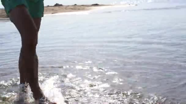 Vänner Skimboarding Vilda Stranden — Stockvideo