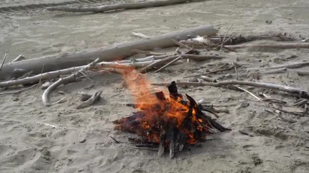 水と海岸 ハンドヘルド ビデオにビーチの火からのパノラマ — ストック動画