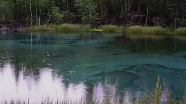 雨の中 ハンドヘルド ビデオで青い間欠泉湖 — ストック動画