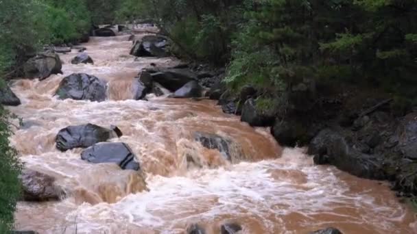 Rivière de montagne brune sous la pluie, au ralenti 