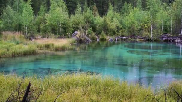 Lago Géiser Azul Bosque Bajo Lluvia — Vídeo de stock