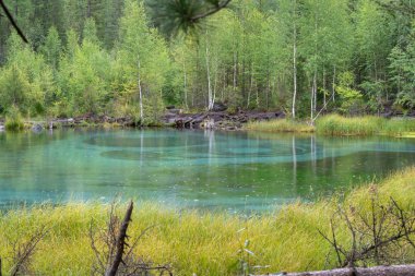 Mavi şofben göl ormanın içinde yakın çekim