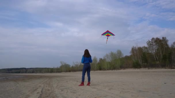 Girl Kite Shore Backdrop Forest — Stock Video