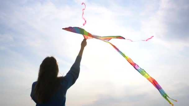 明るい晴れた空を背景に手をつないで凧 — ストック動画