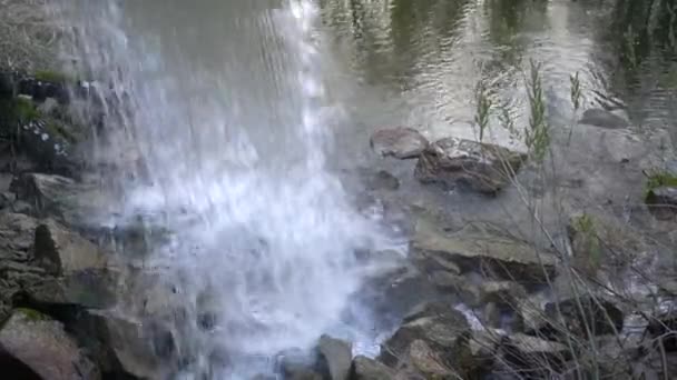 Agua Una Cascada Cae Sobre Piedras Cerca — Vídeos de Stock