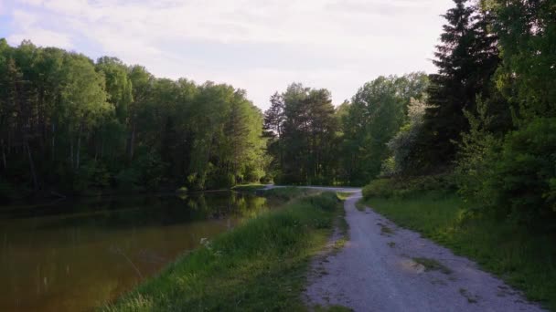 森の湖とそれへの道 ハンドヘルドショット — ストック動画