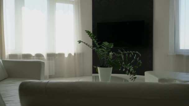 部屋の真ん中にテーブルの上に植物とモダンなミニマリストのインテリアデザイン テレビの前にある半円形の革張りのソファ — ストック動画