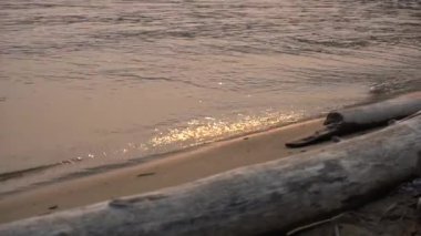 Güneşin yansımaları ile kıyı hattı boyunca küçük dalgalar