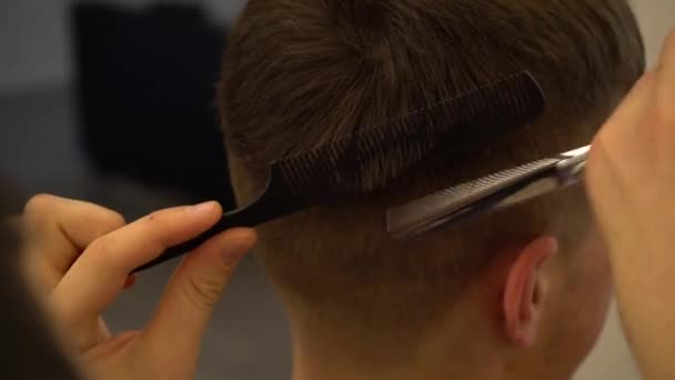 Hairdresser Cuts Man Close — Stock Video