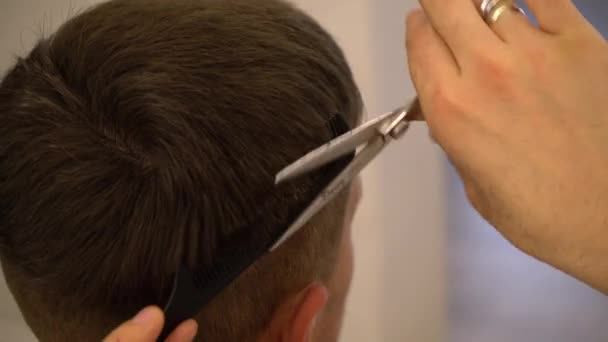 Friseur Schneidet Haarschnitt Mit Schere Nahaufnahme — Stockvideo