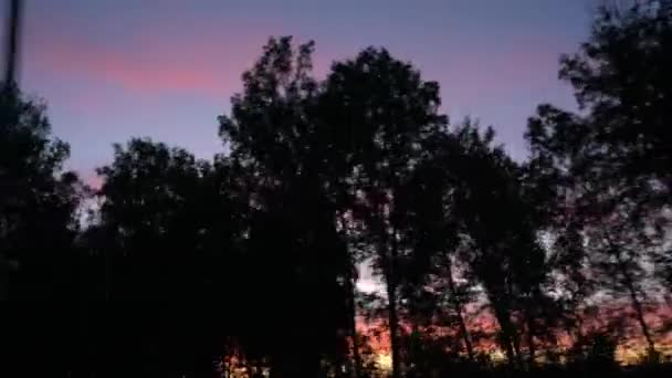 Passer Devant Les Silhouettes Des Arbres Contre Ciel Couchant — Video