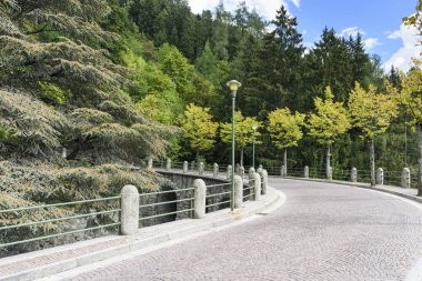 Arnavut kaldırımlı dağ yolu Alpleri'nde