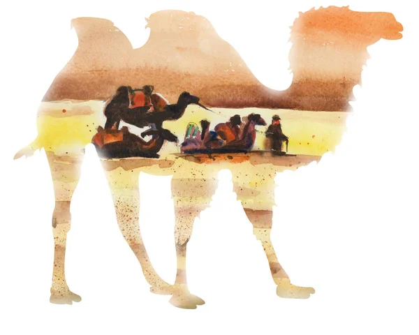 Silhouette Eines Kamels Vor Dem Hintergrund Der Wüste — Stockfoto
