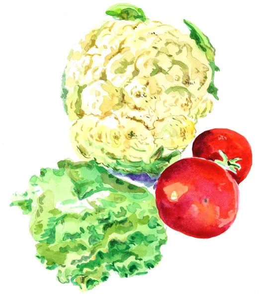 Aquarell Blumenkohl und Tomaten — Stockfoto