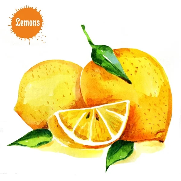 Fruta de limón con hoja aislada sobre fondo blanco. Acuarela imágenes — Foto de Stock