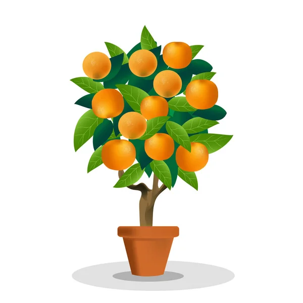 Vektor Aquarell Frucht Orangenzweig auf weißem Hintergrund — Stockvektor