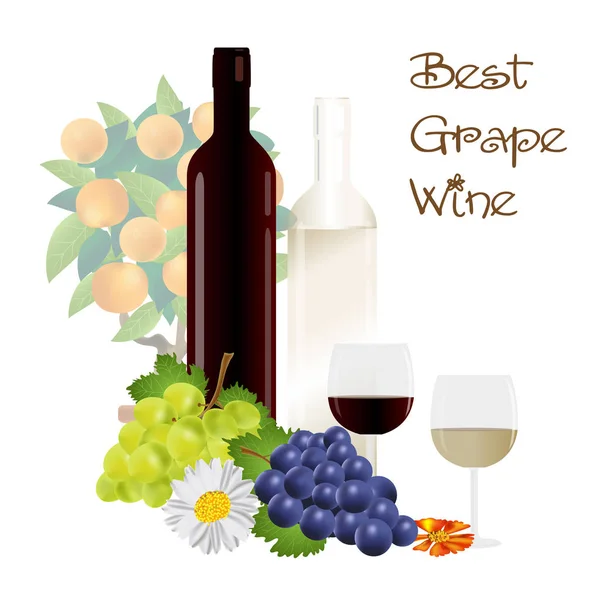 Meilleur vin de raisin — Image vectorielle
