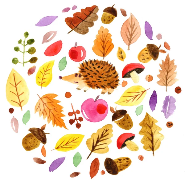 Aquarel illustratie van de herfst achtergrond van bladeren en paddestoelen. — Stockfoto