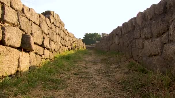 Insect View Path Ruinas — Vídeo de stock