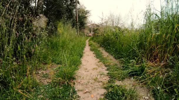 Zone Nature Path Green — Video