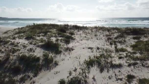 Beach Sea Ocean Sun — Stock Video