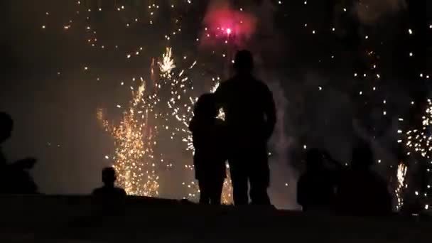 Feuerwerk Pano mit Menschen 3 Zeitlupe — Stockvideo