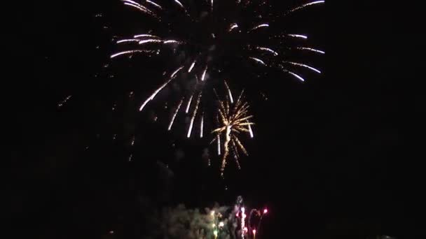 Fogos de artifício noite cor céu — Vídeo de Stock