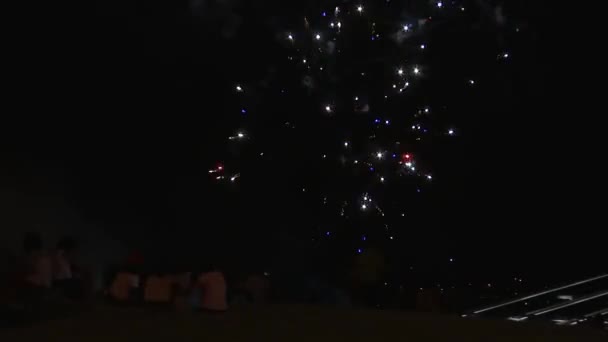 Vuurwerk mensen nachtelijke hemel — Stockvideo