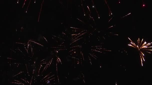 FIREWORKS VERY CLOSE VIEW SLOW MOTION — Stock Video