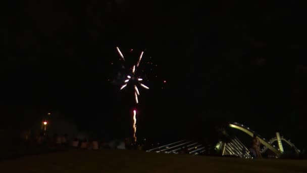 Feuerwerk Menschen Nachthimmel — Stockvideo