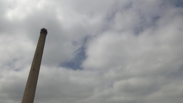 Almacenamiento Tabla Una Torre — Vídeo de stock