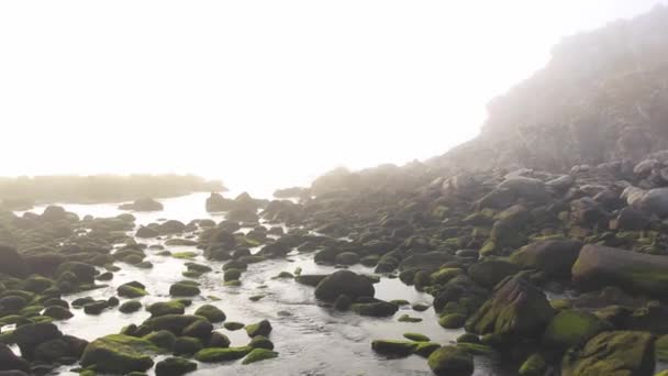 ROCKS NO MAR COM FOG — Vídeo de Stock